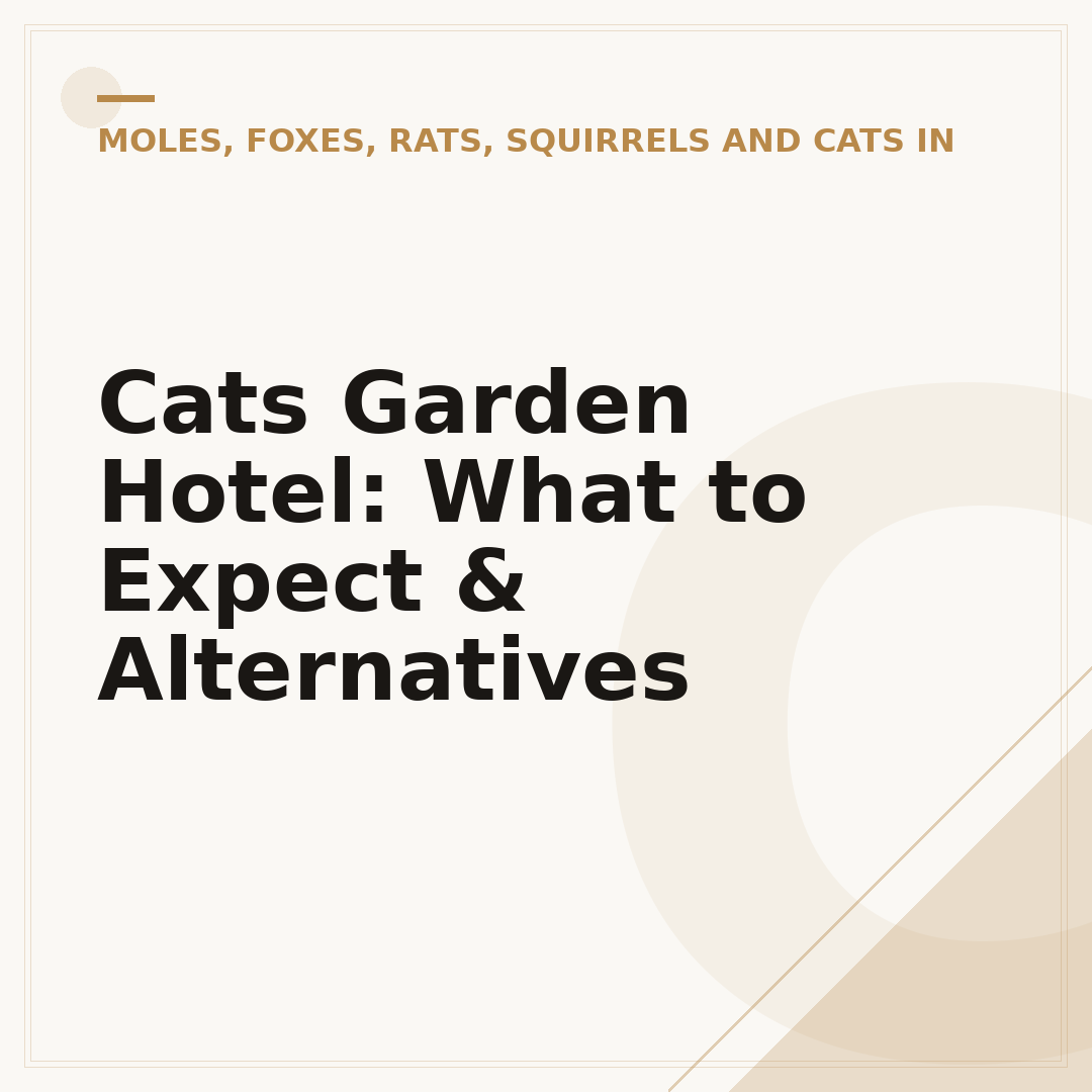 Cats Garden Hotel: What to Expect & Alternatives