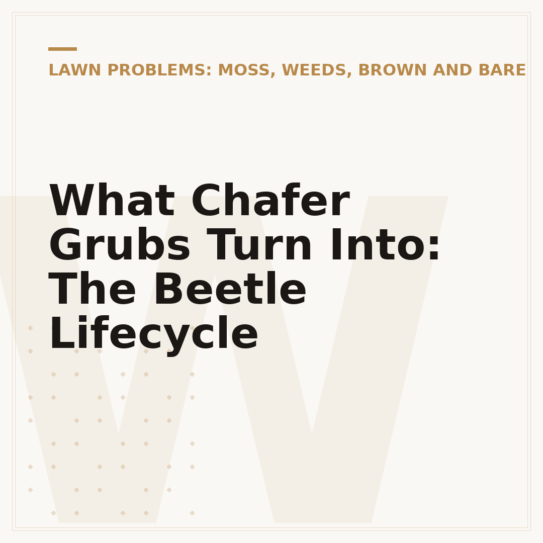 What Chafer Grubs Turn Into: The Beetle Lifecycle