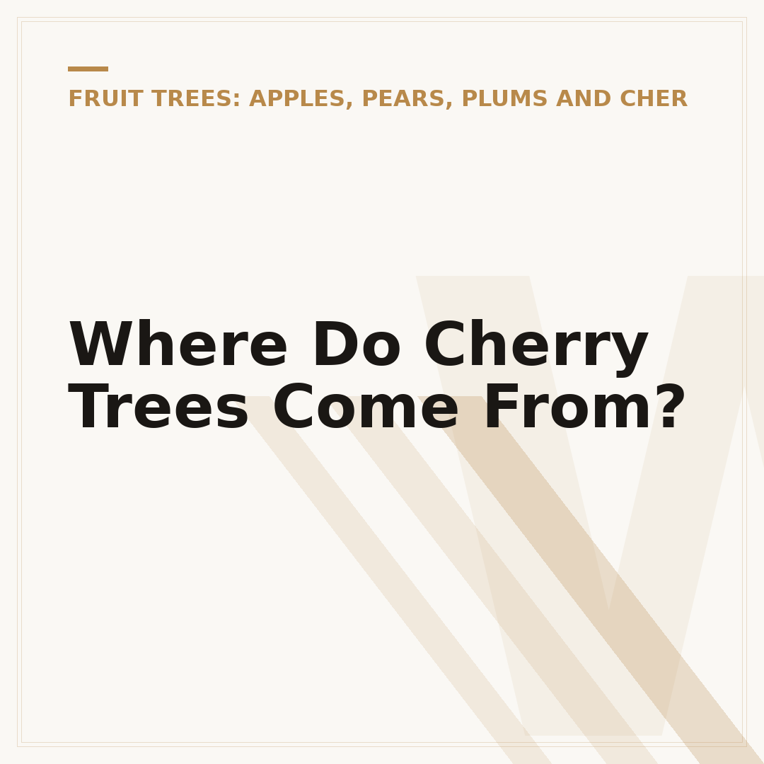 Where Do Cherry Trees Come From?