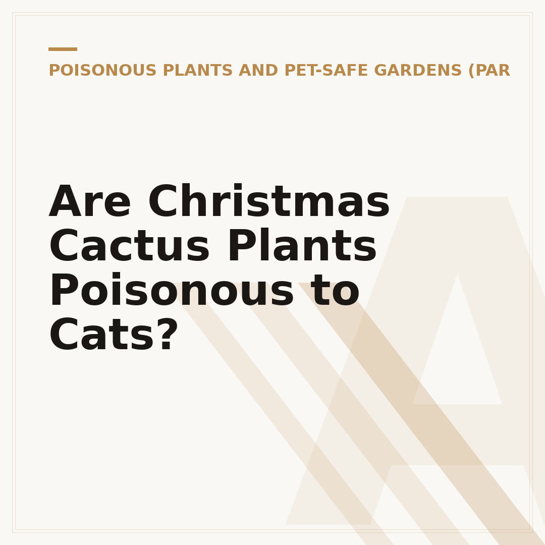 Are Christmas Cactus Plants Poisonous to Cats?