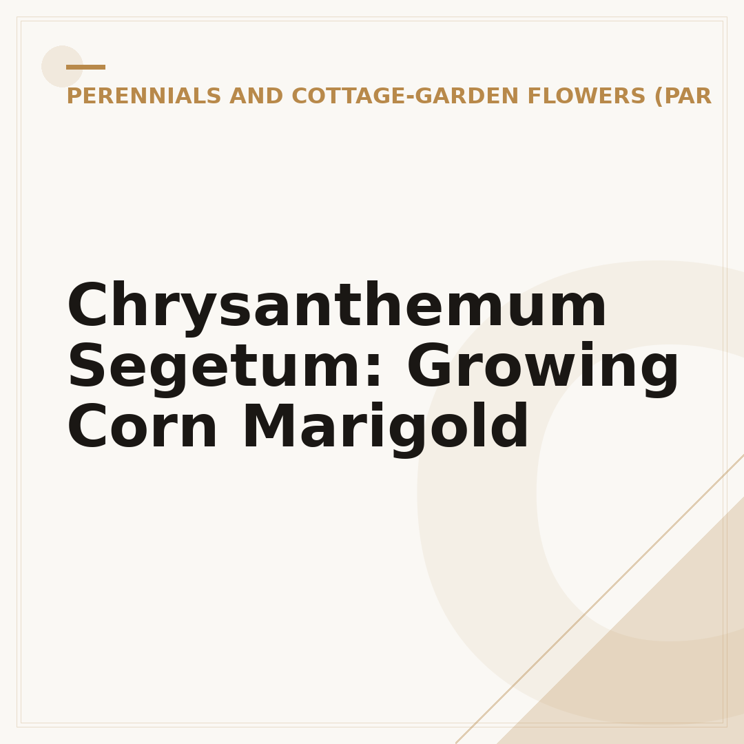 Chrysanthemum Segetum: Growing Corn Marigold