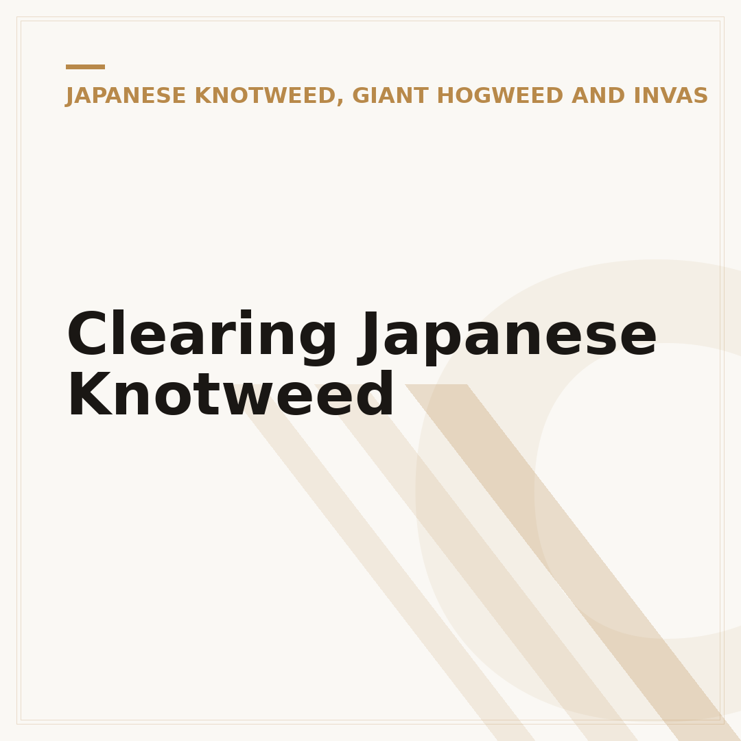Clearing Japanese Knotweed