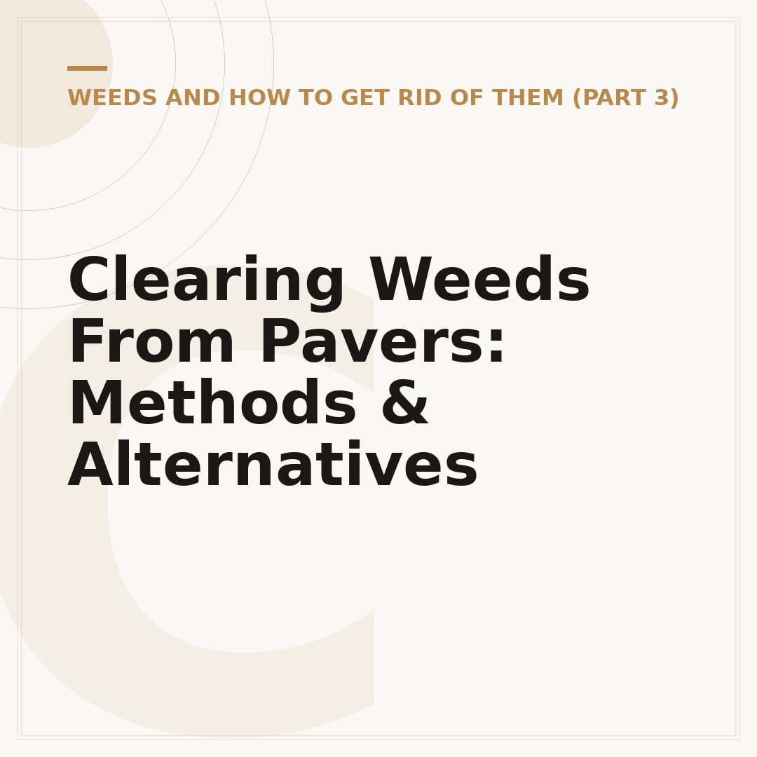 Clearing Weeds From Pavers: Methods & Alternatives