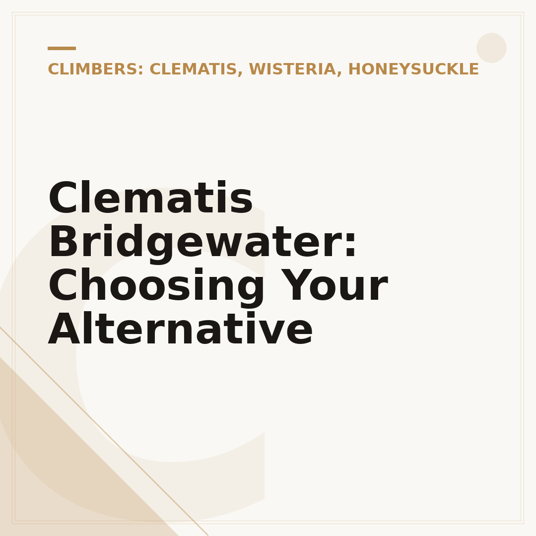 Clematis Bridgewater: Choosing Your Alternative