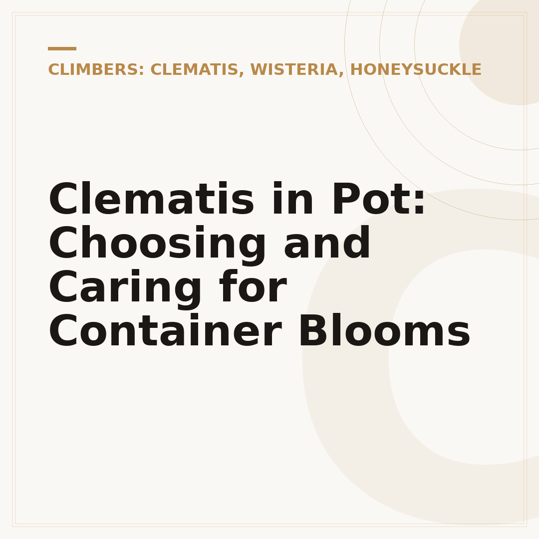 Clematis in Pot: Choosing and Caring for Container Blooms