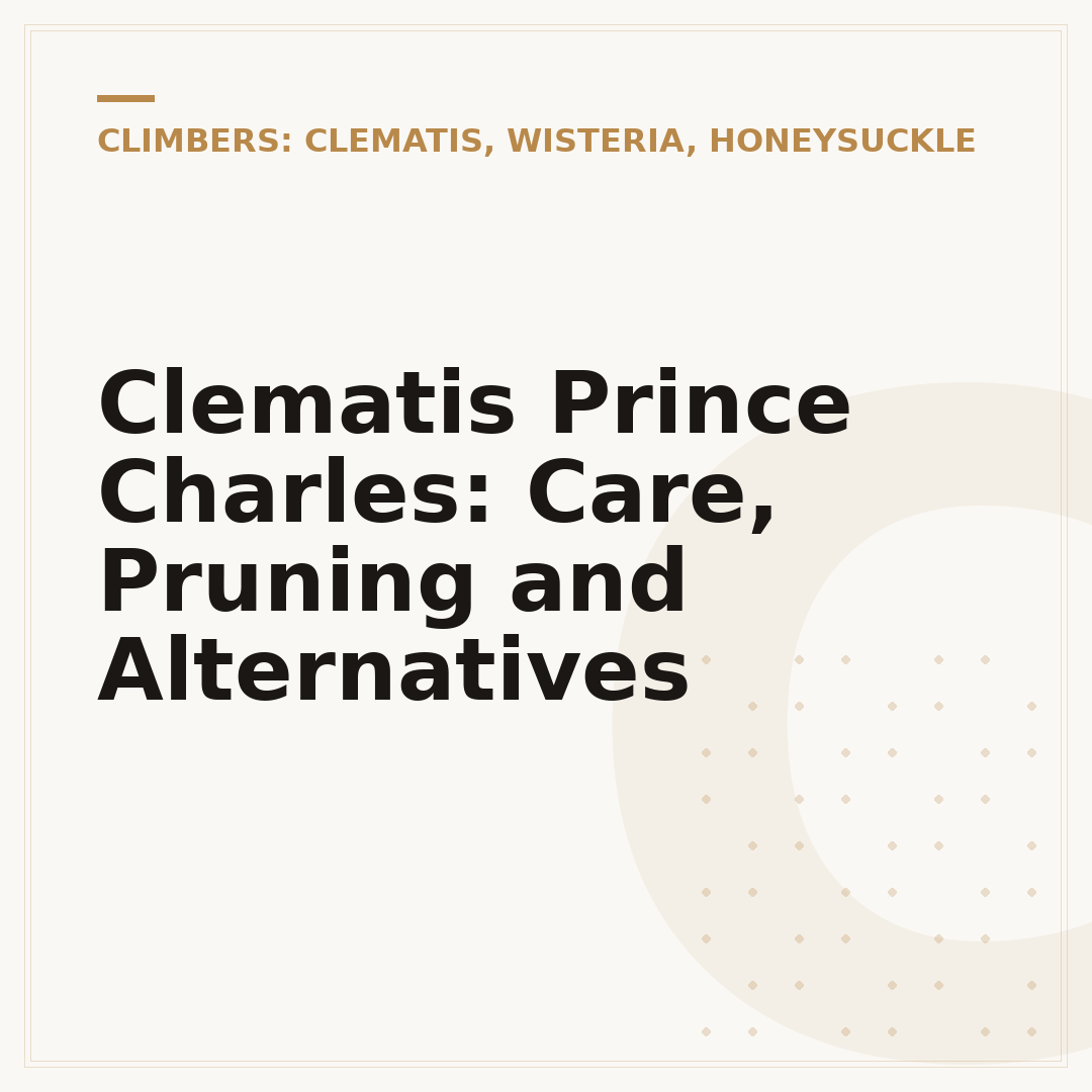 Clematis Prince Charles: Care, Pruning and Alternatives