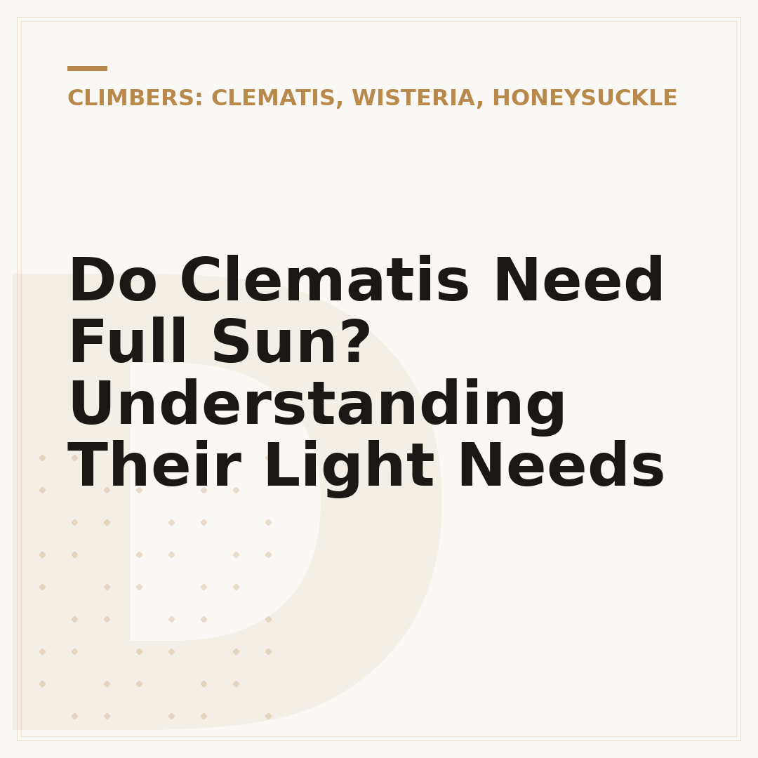 Do Clematis Need Full Sun? Understanding Their Light Needs