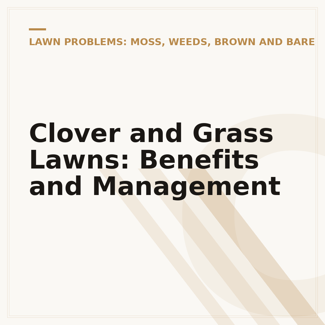 Clover and Grass Lawns: Benefits and Management