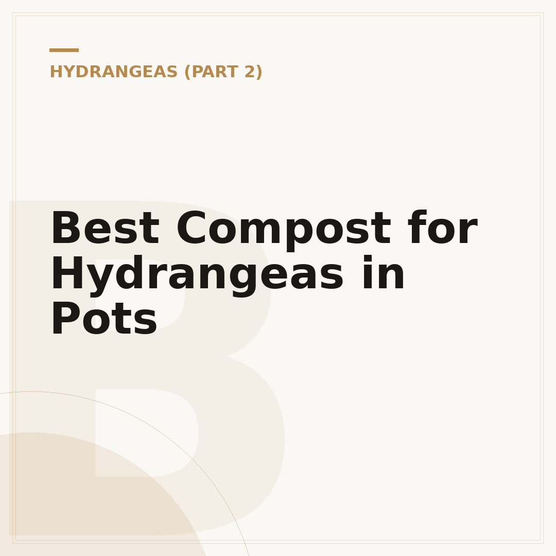 Best Compost for Hydrangeas in Pots