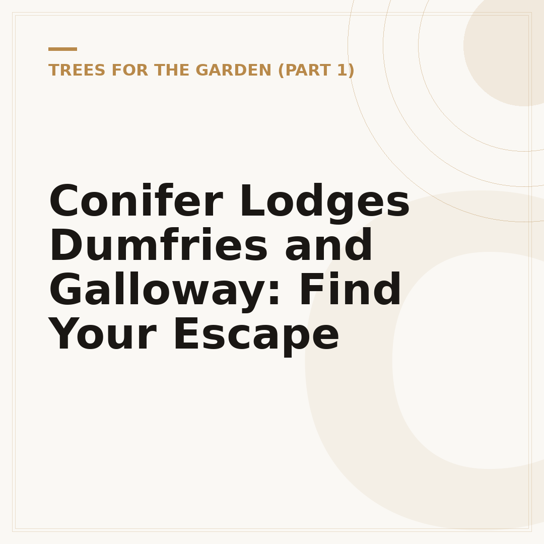 Conifer Lodges Dumfries and Galloway: Find Your Escape