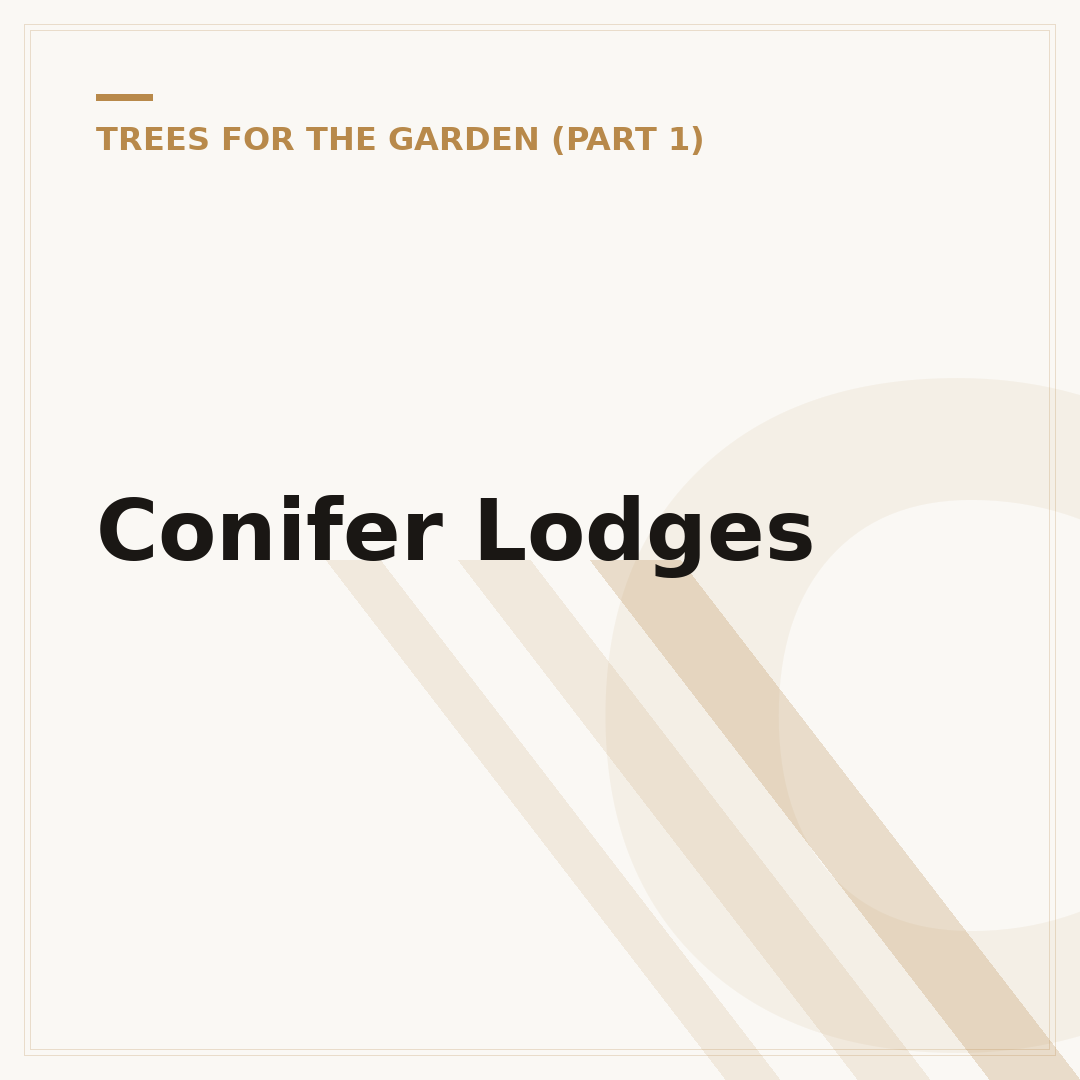 Conifer Lodges