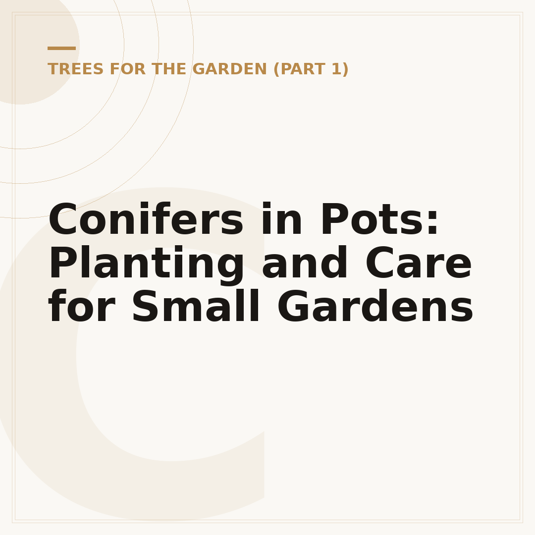 Conifers in Pots: Planting and Care for Small Gardens