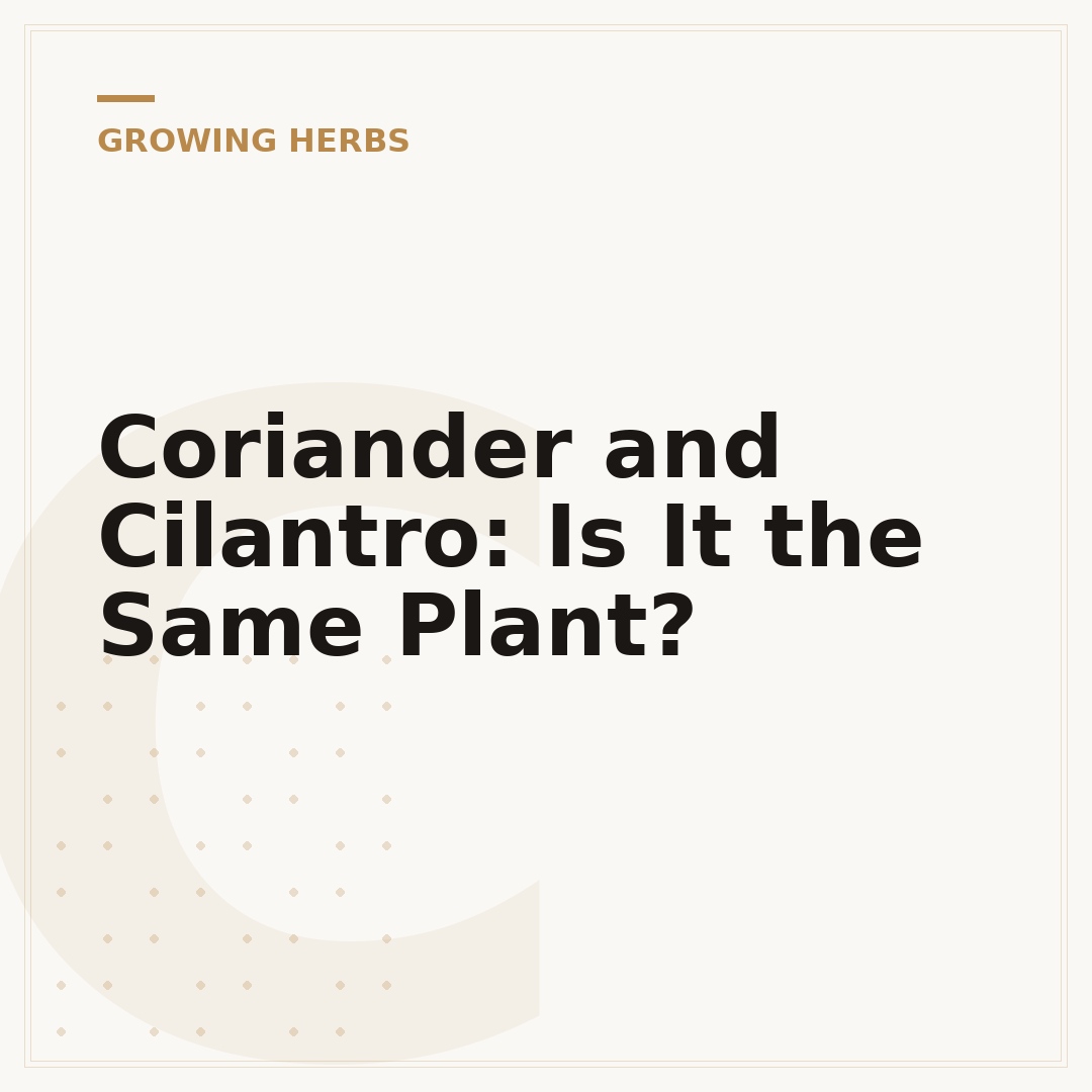 Coriander and Cilantro: Is It the Same Plant?