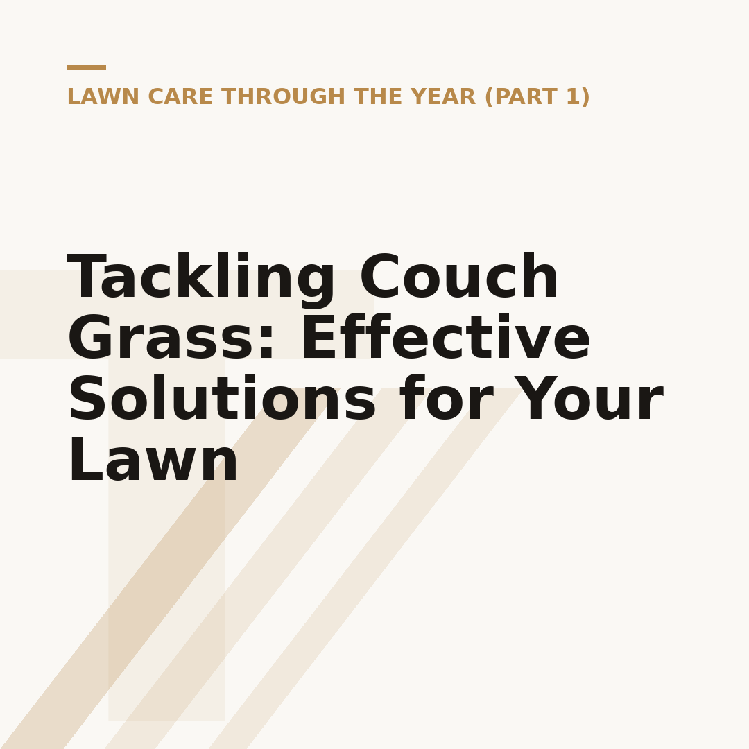 Tackling Couch Grass: Effective Solutions for Your Lawn