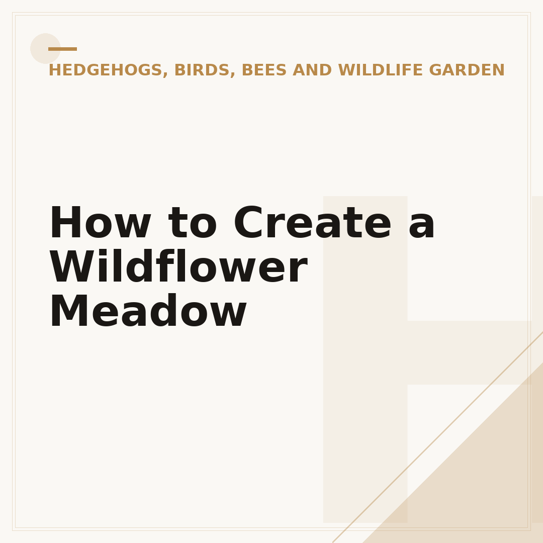 How to Create a Wildflower Meadow
