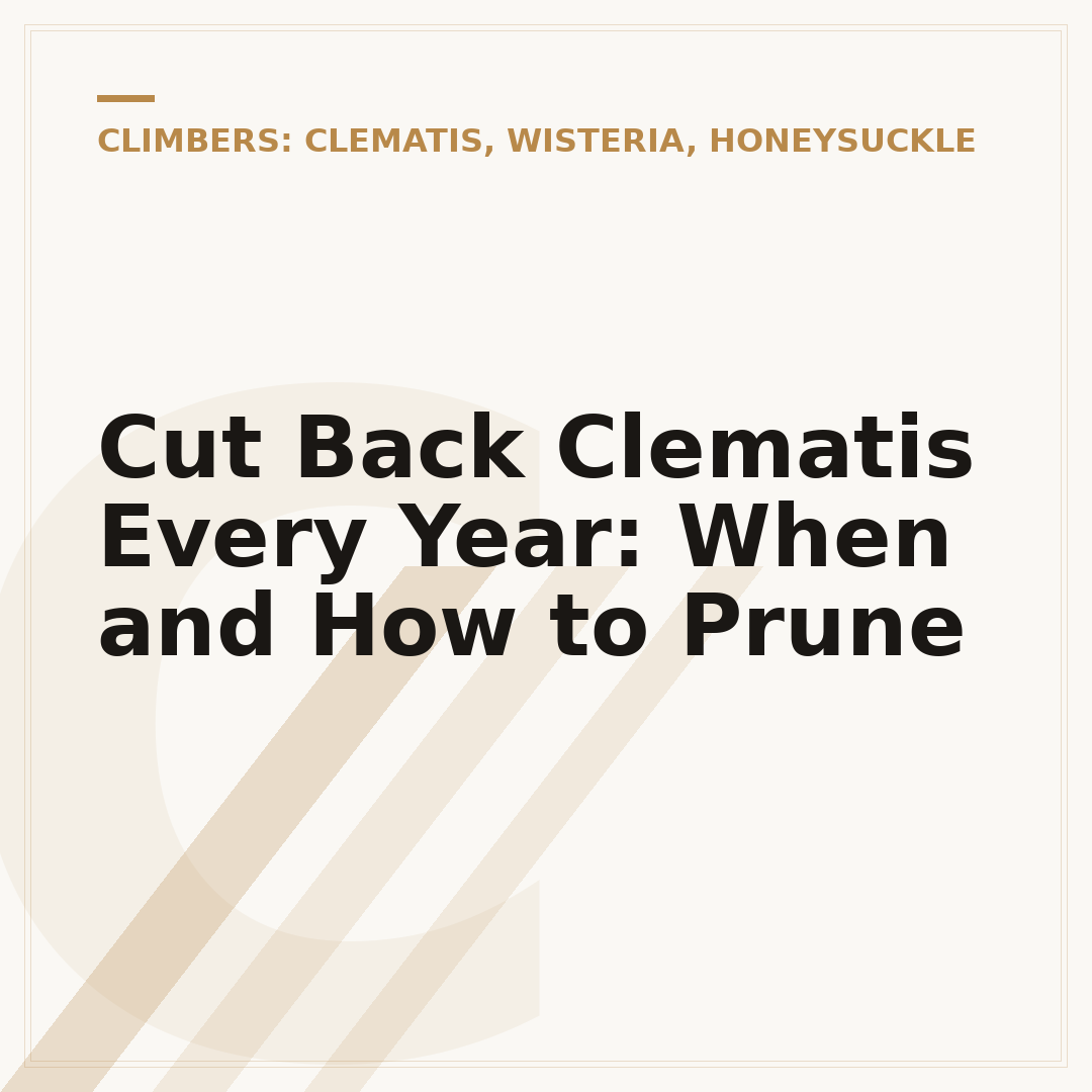 Cut Back Clematis Every Year: When and How to Prune