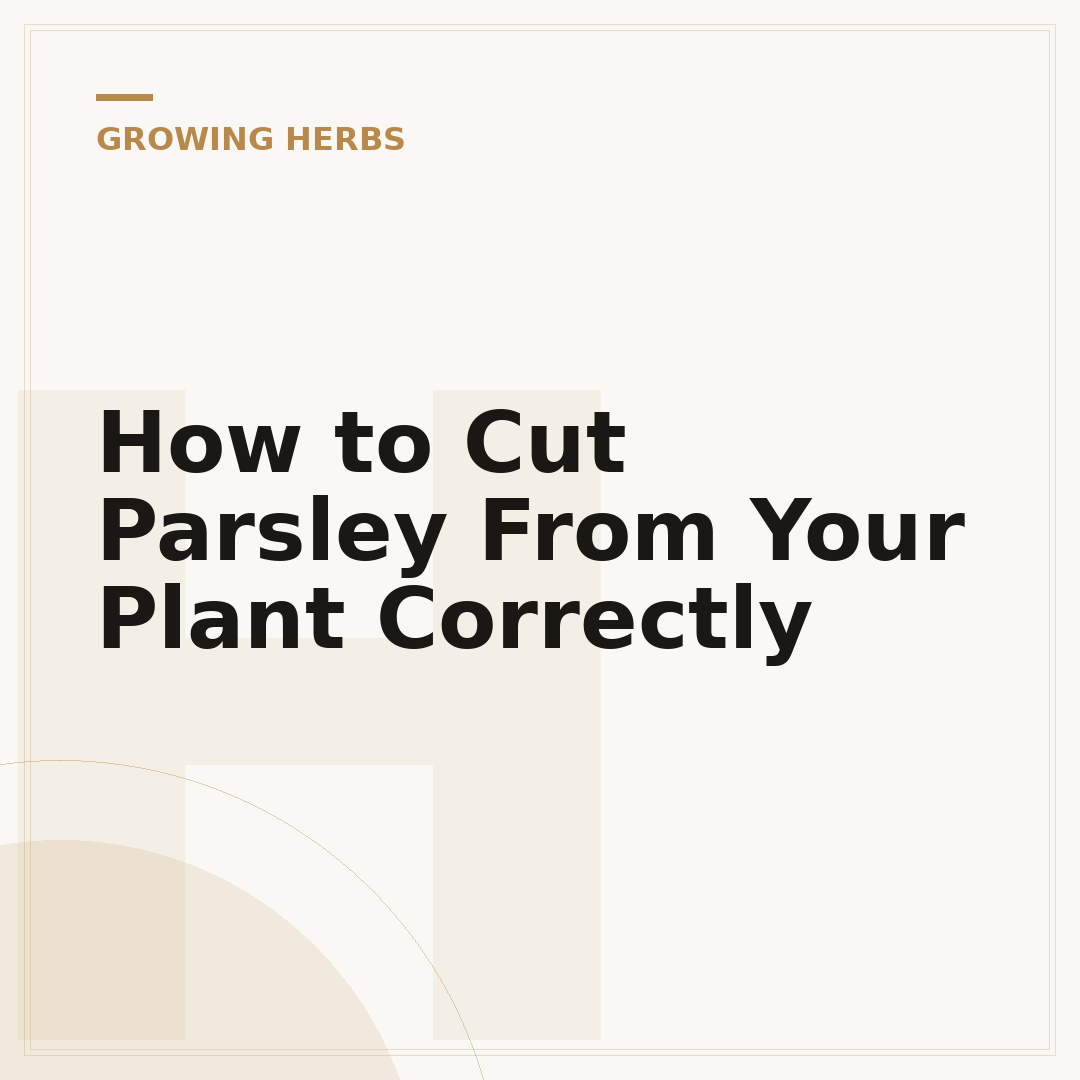 How to Cut Parsley From Your Plant Correctly