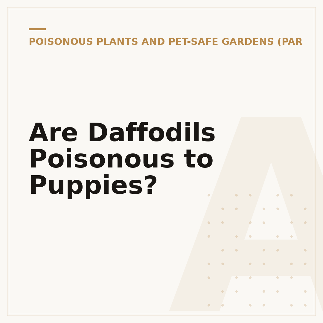 Are Daffodils Poisonous to Puppies?
