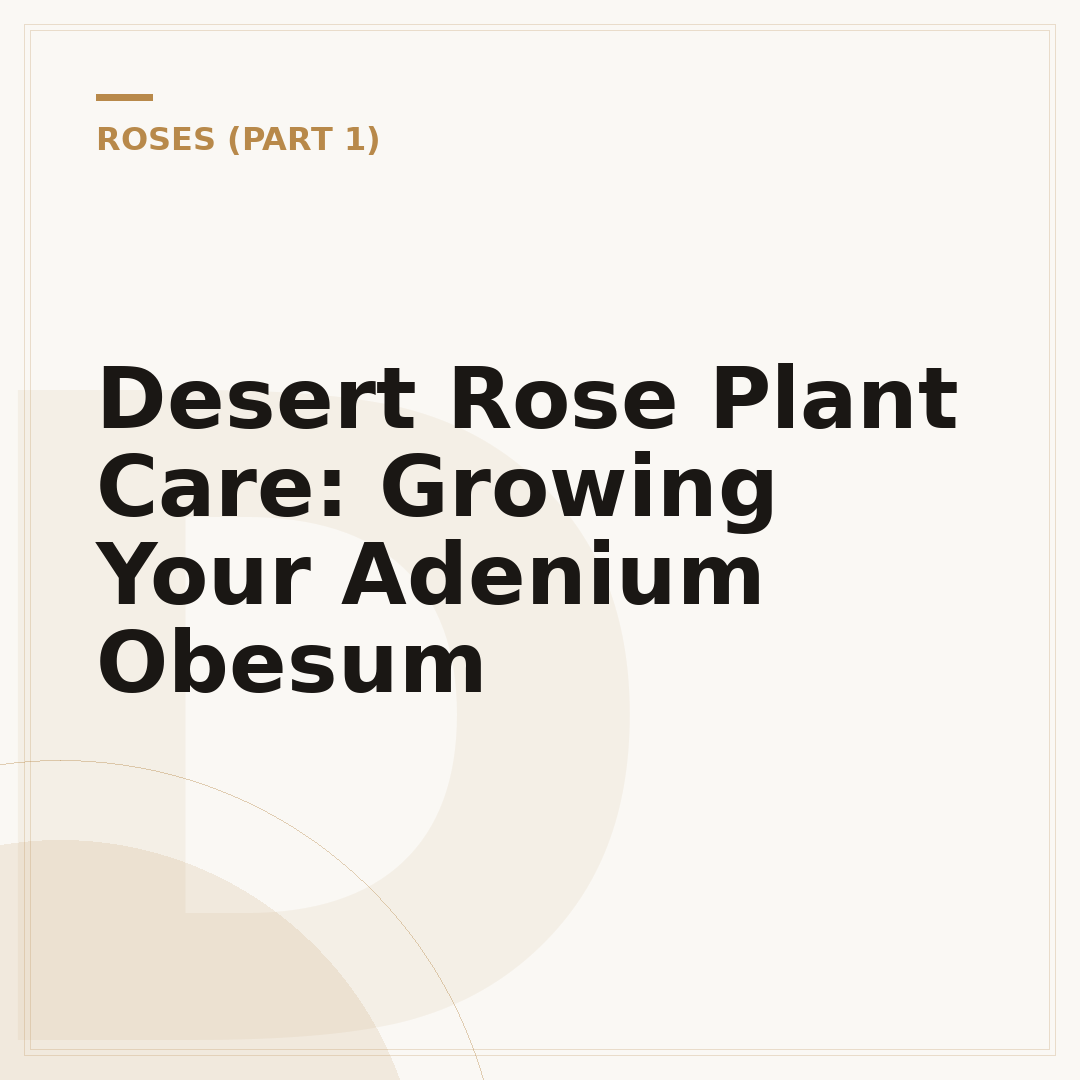 Desert Rose Plant Care: Growing Your Adenium Obesum