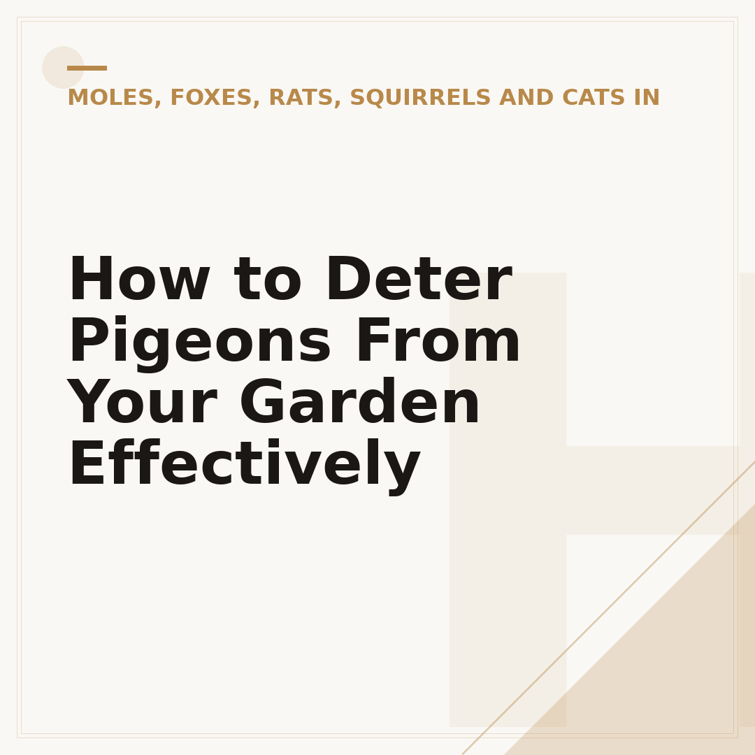 How to Deter Pigeons From Your Garden Effectively