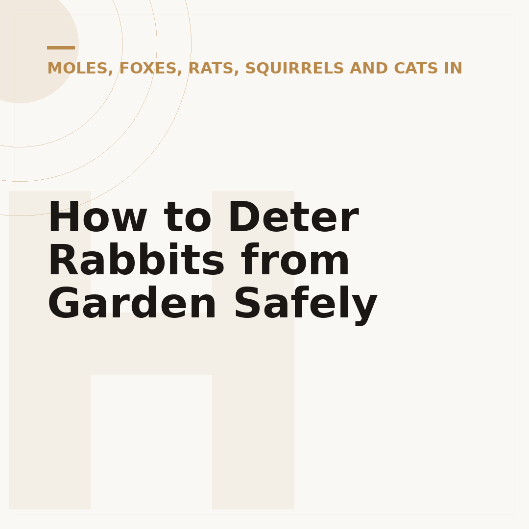 How to Deter Rabbits from Garden Safely