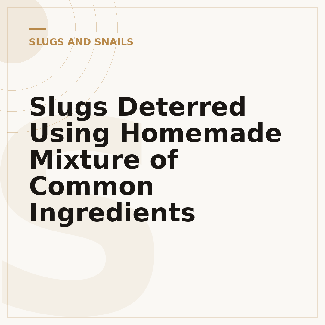 Slugs Deterred Using Homemade Mixture of Common Ingredients