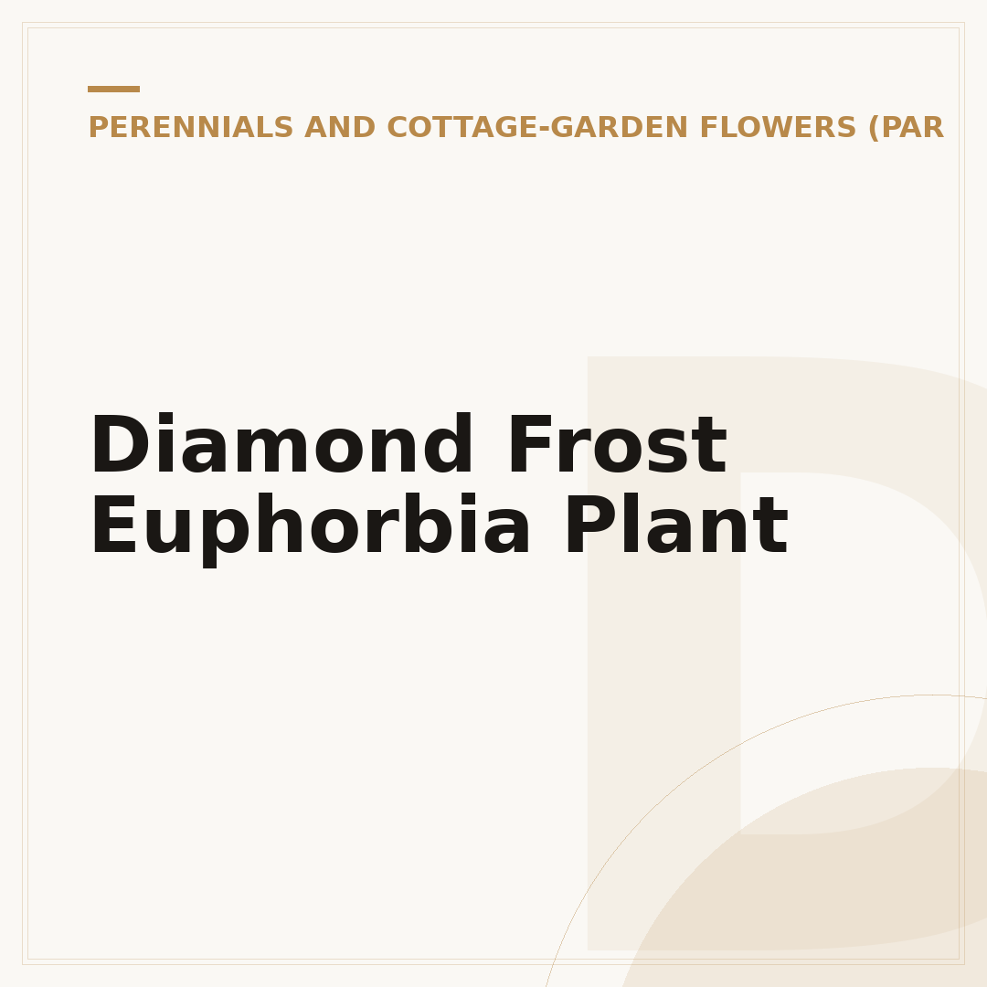 Diamond Frost Euphorbia Plant