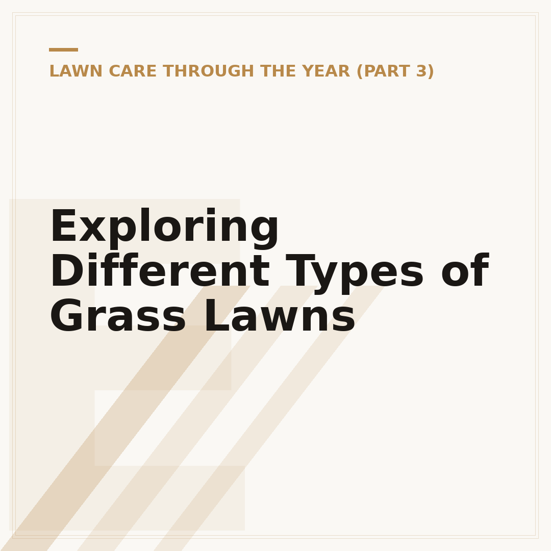 Exploring Different Types of Grass Lawns