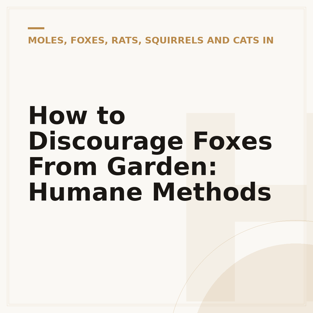 How to Discourage Foxes From Garden: Humane Methods