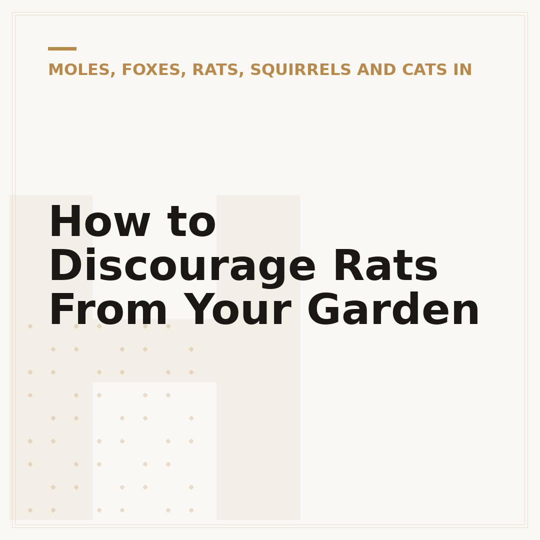 How to Discourage Rats From Your Garden