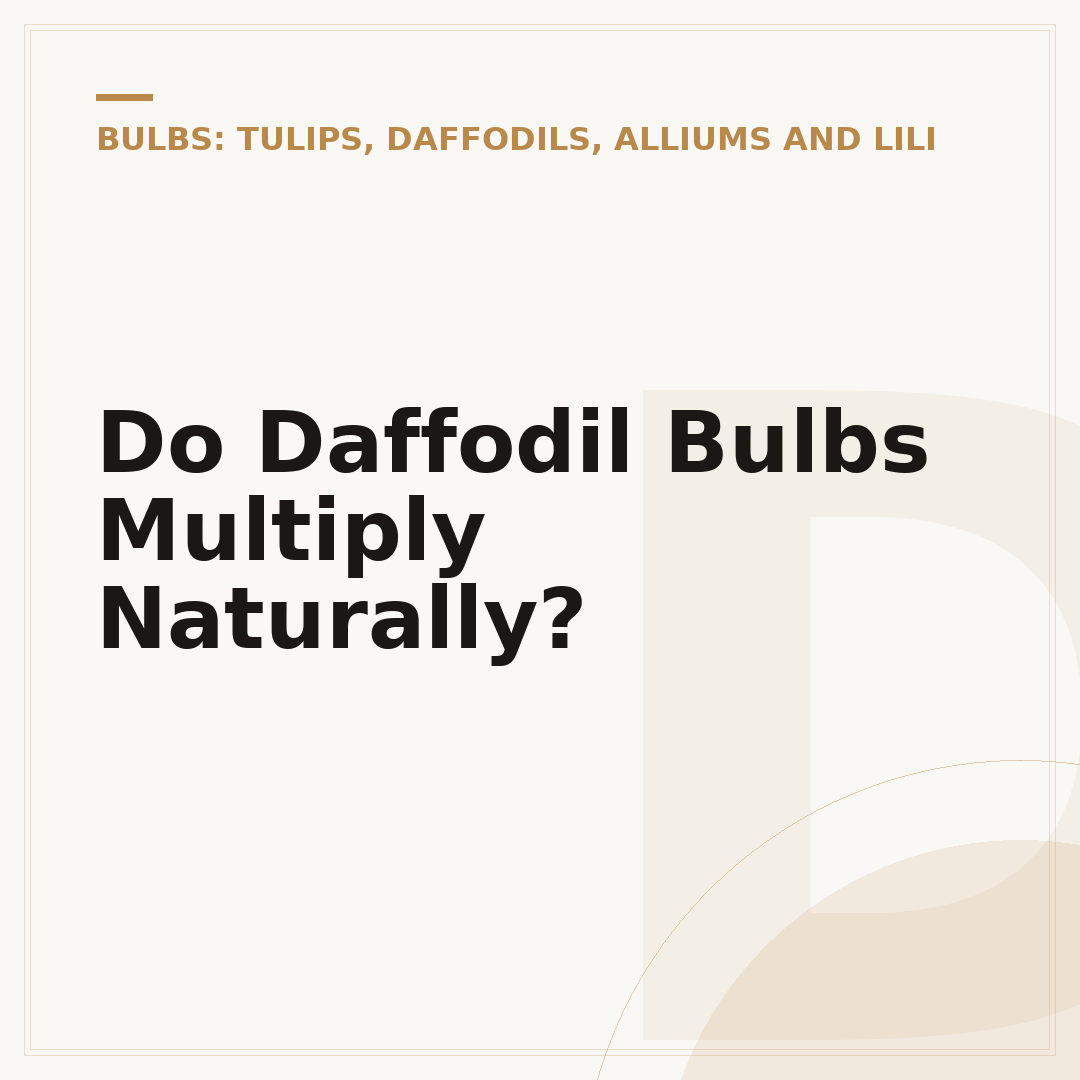 Do Daffodil Bulbs Multiply Naturally?