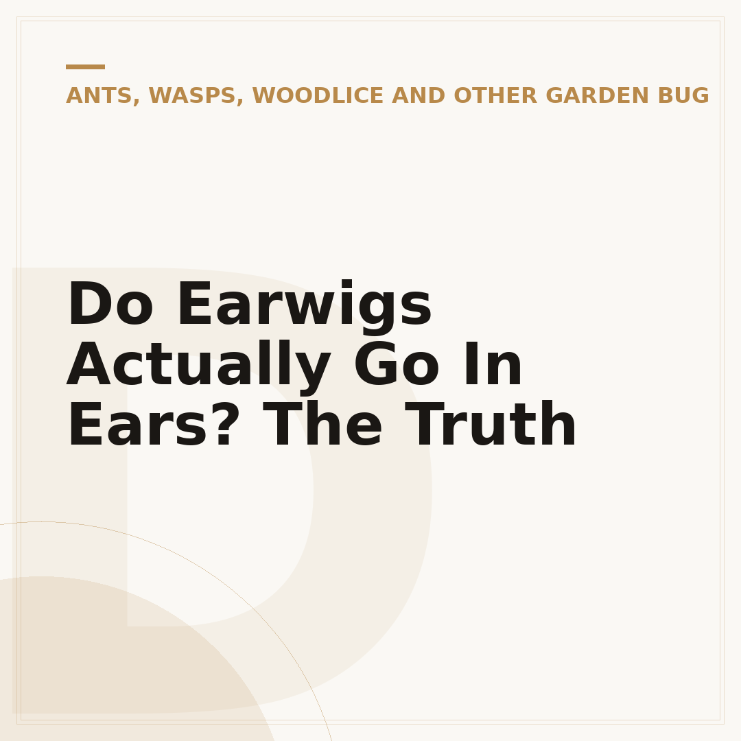 Do Earwigs Actually Go In Ears? The Truth