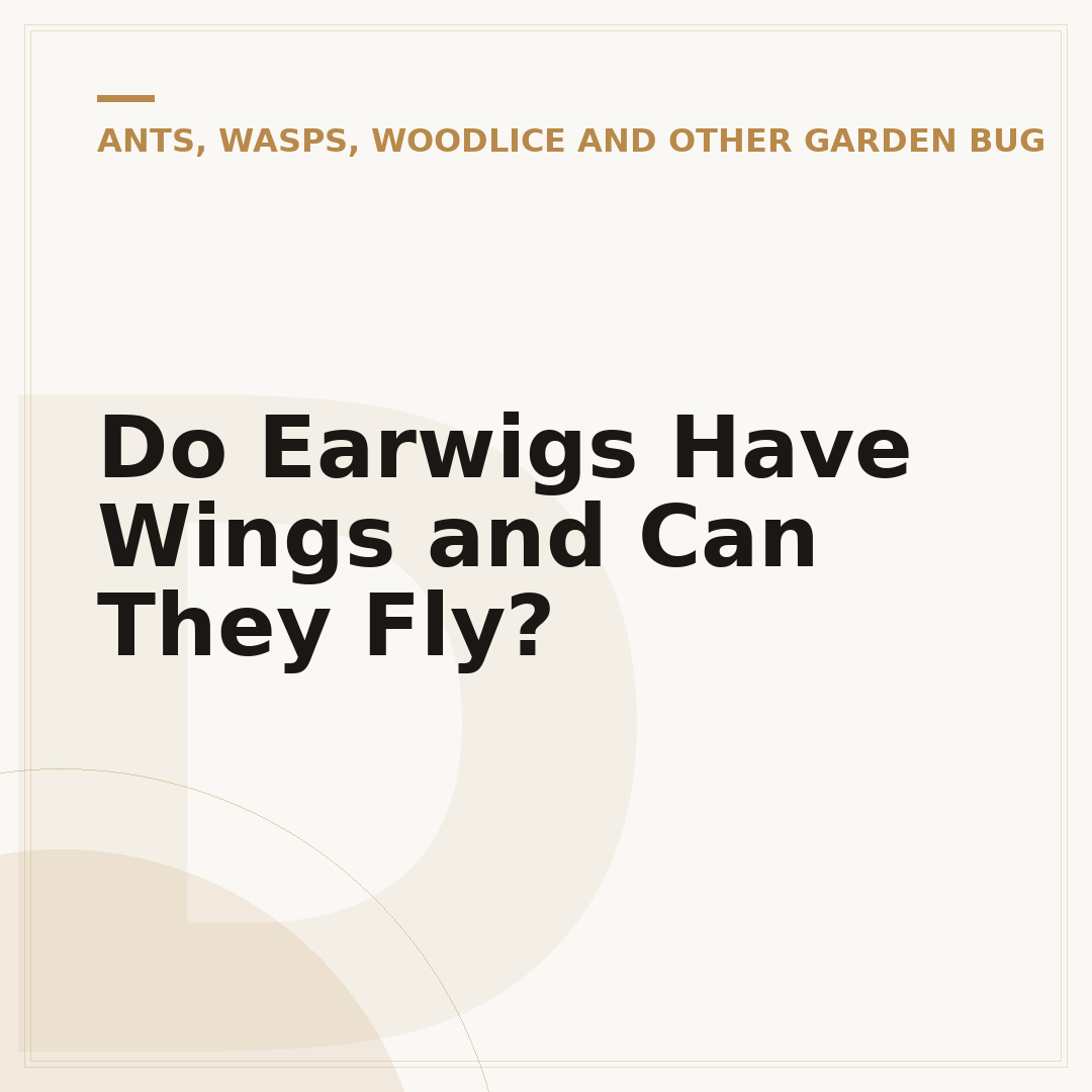Do Earwigs Have Wings and Can They Fly?