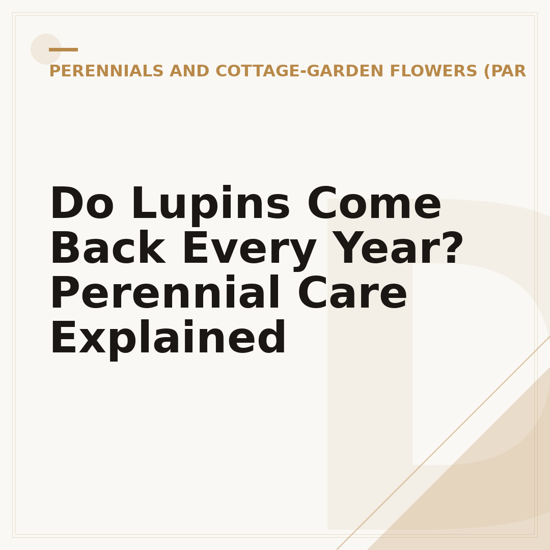 Do Lupins Come Back Every Year? Perennial Care Explained