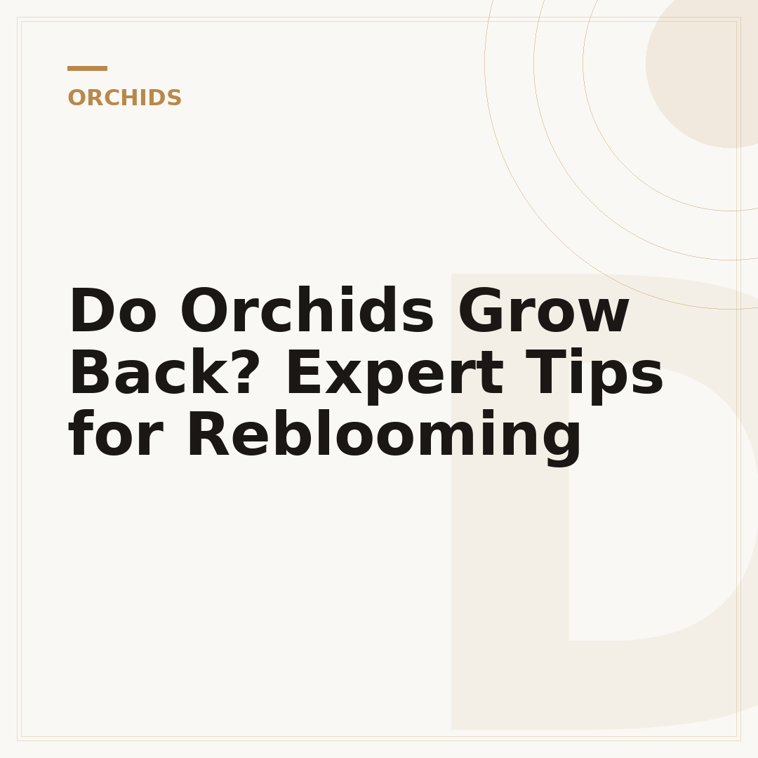Do Orchids Grow Back? Expert Tips for Reblooming