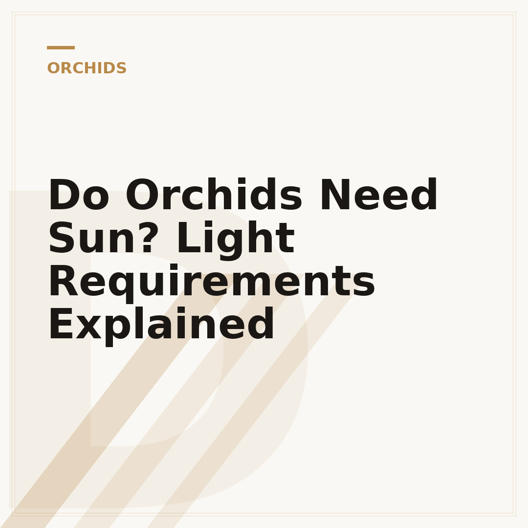 Do Orchids Need Sun? Light Requirements Explained