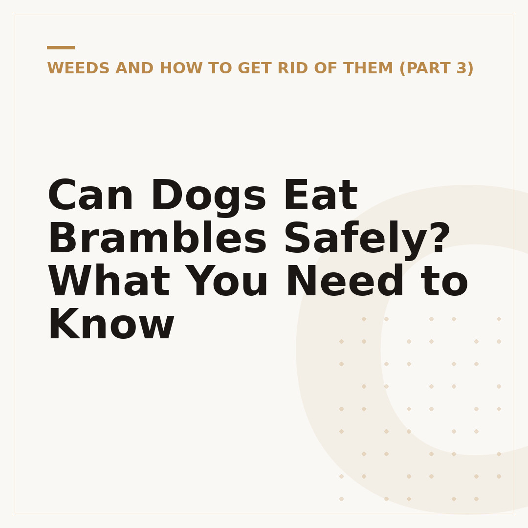 Can Dogs Eat Brambles Safely? What You Need to Know