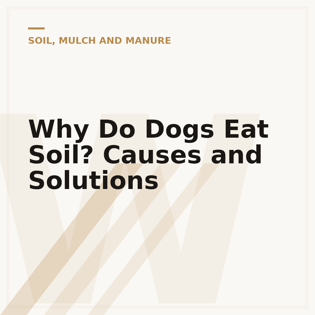 Why Do Dogs Eat Soil? Causes and Solutions