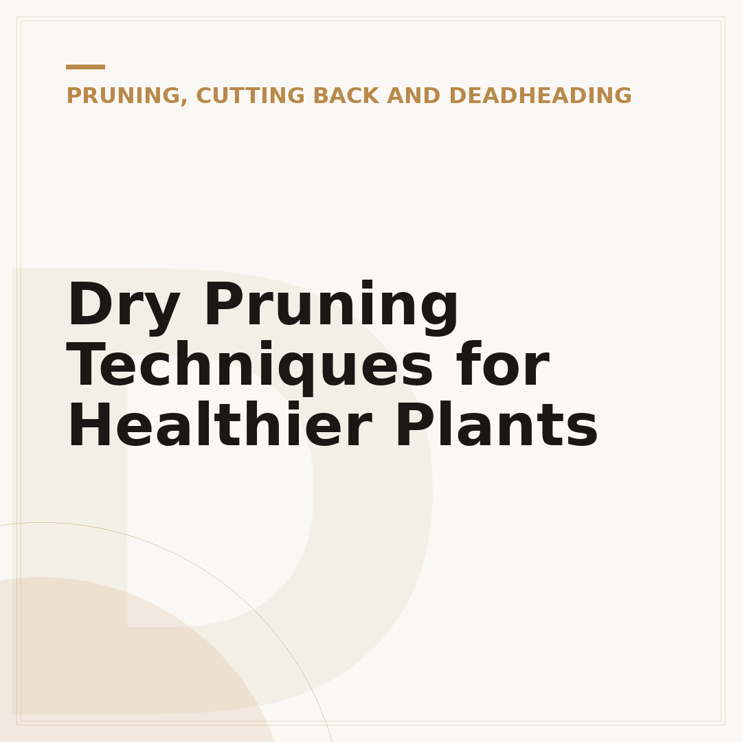 Dry Pruning Techniques for Healthier Plants
