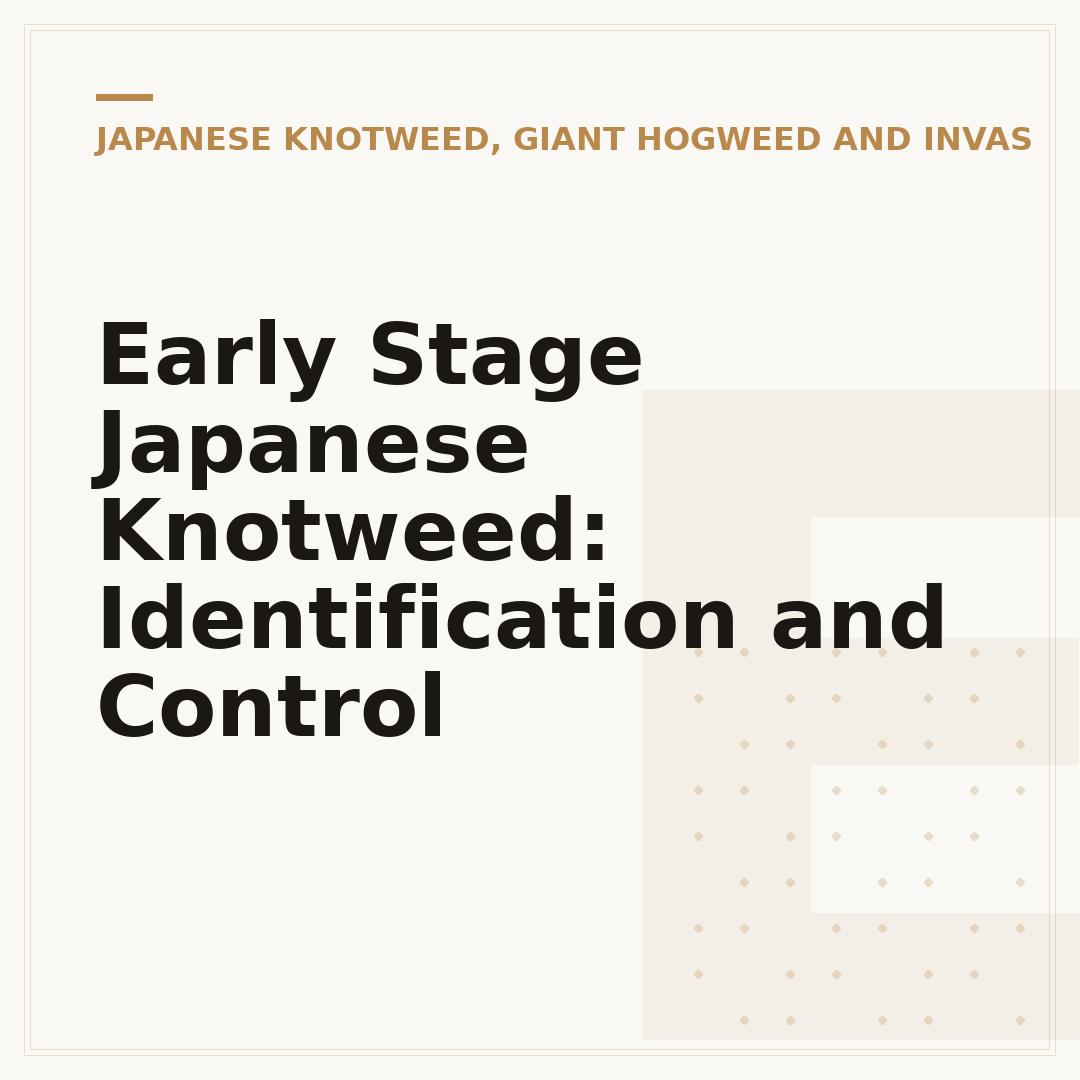 Early Stage Japanese Knotweed: Identification and Control