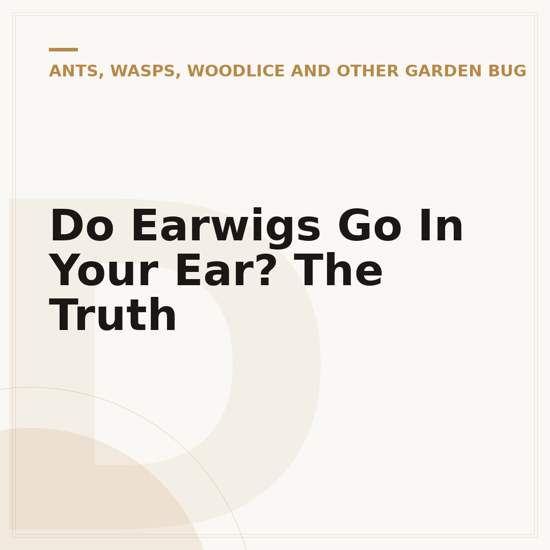 Do Earwigs Go In Your Ear? The Truth