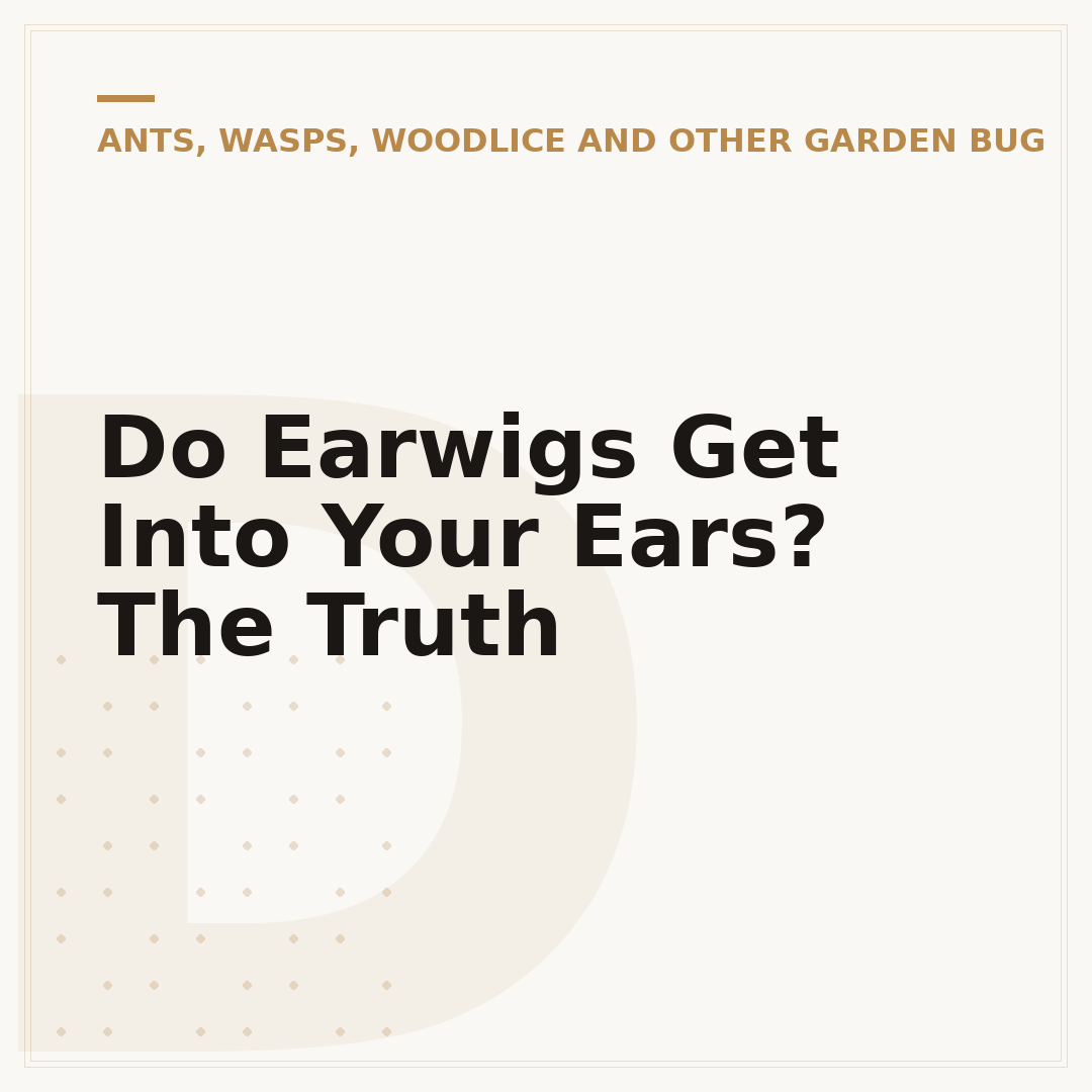 Do Earwigs Get Into Your Ears? The Truth