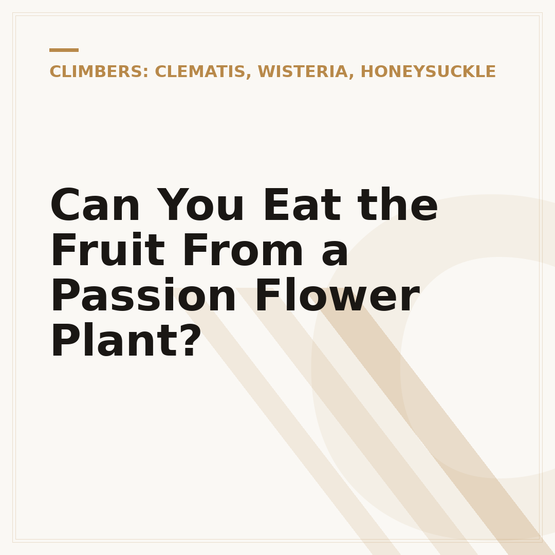 Can You Eat the Fruit From a Passion Flower Plant?