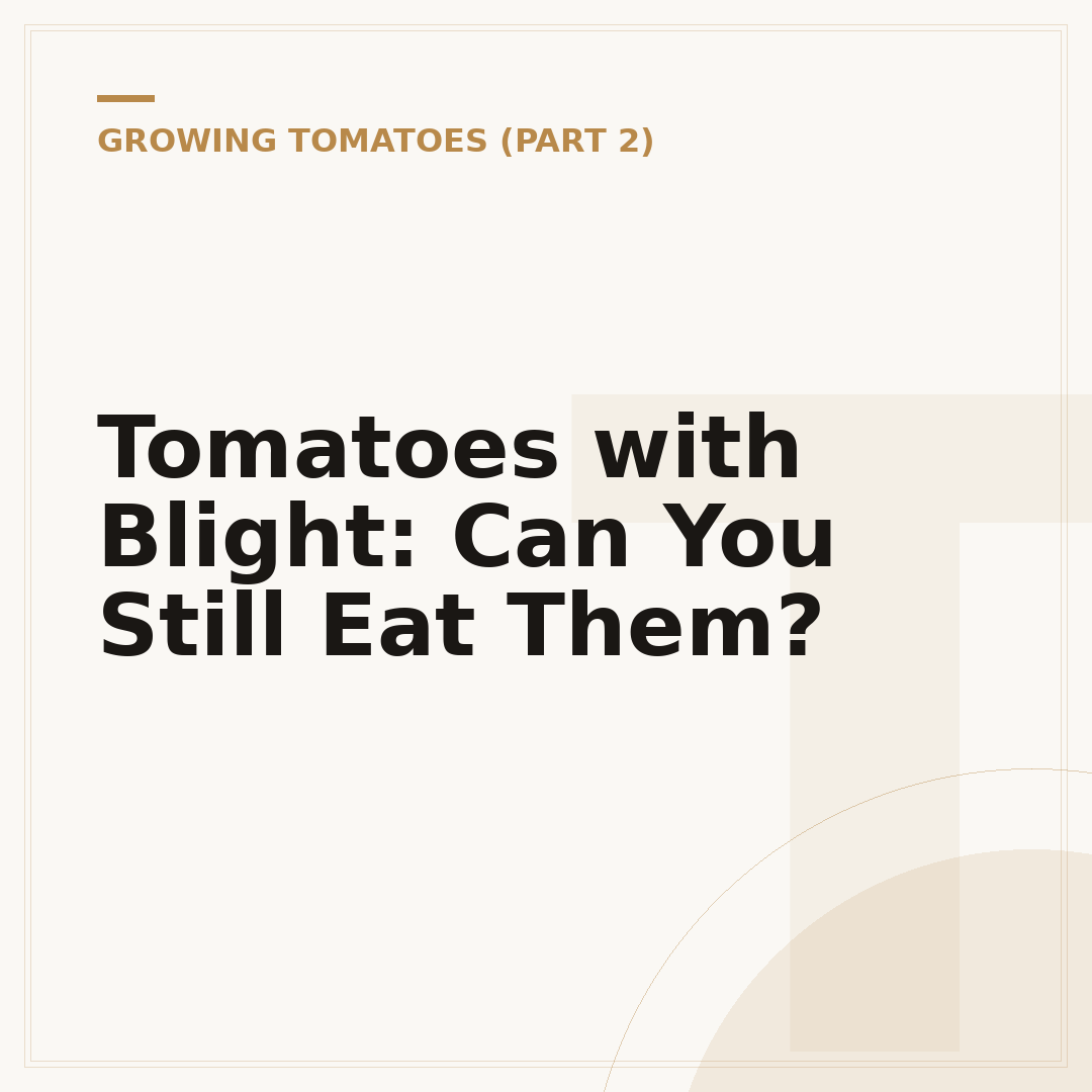 Tomatoes with Blight: Can You Still Eat Them?