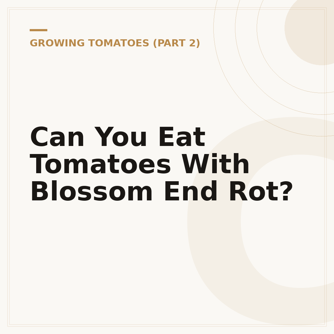Can You Eat Tomatoes With Blossom End Rot?