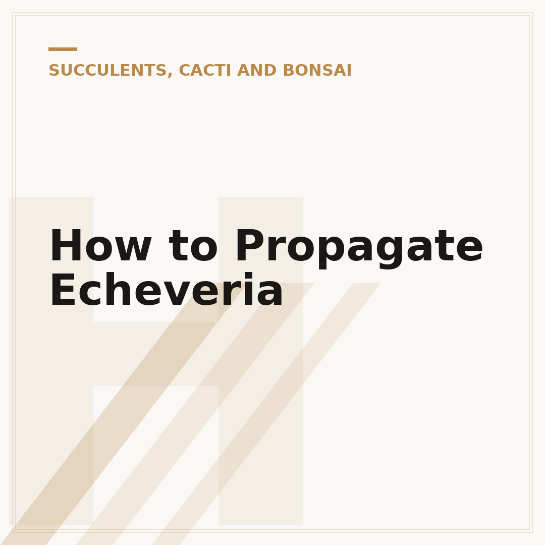 How to Propagate Echeveria