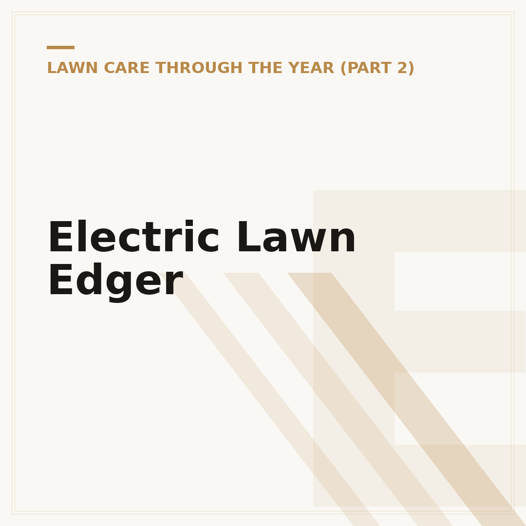 Electric Lawn Edger