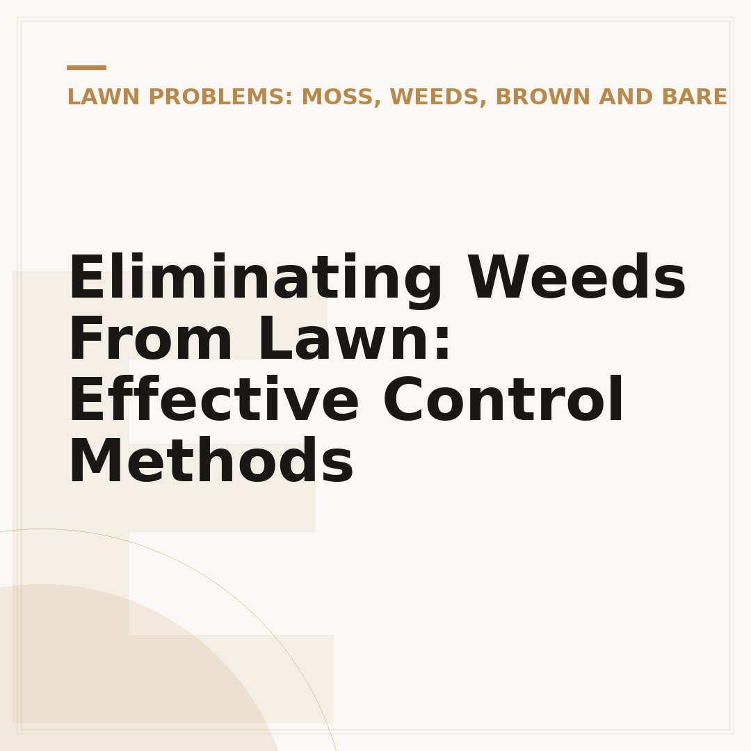 Eliminating Weeds From Lawn: Effective Control Methods