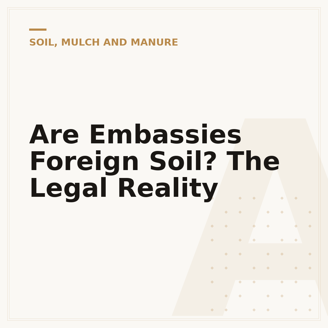 Are Embassies Foreign Soil? The Legal Reality