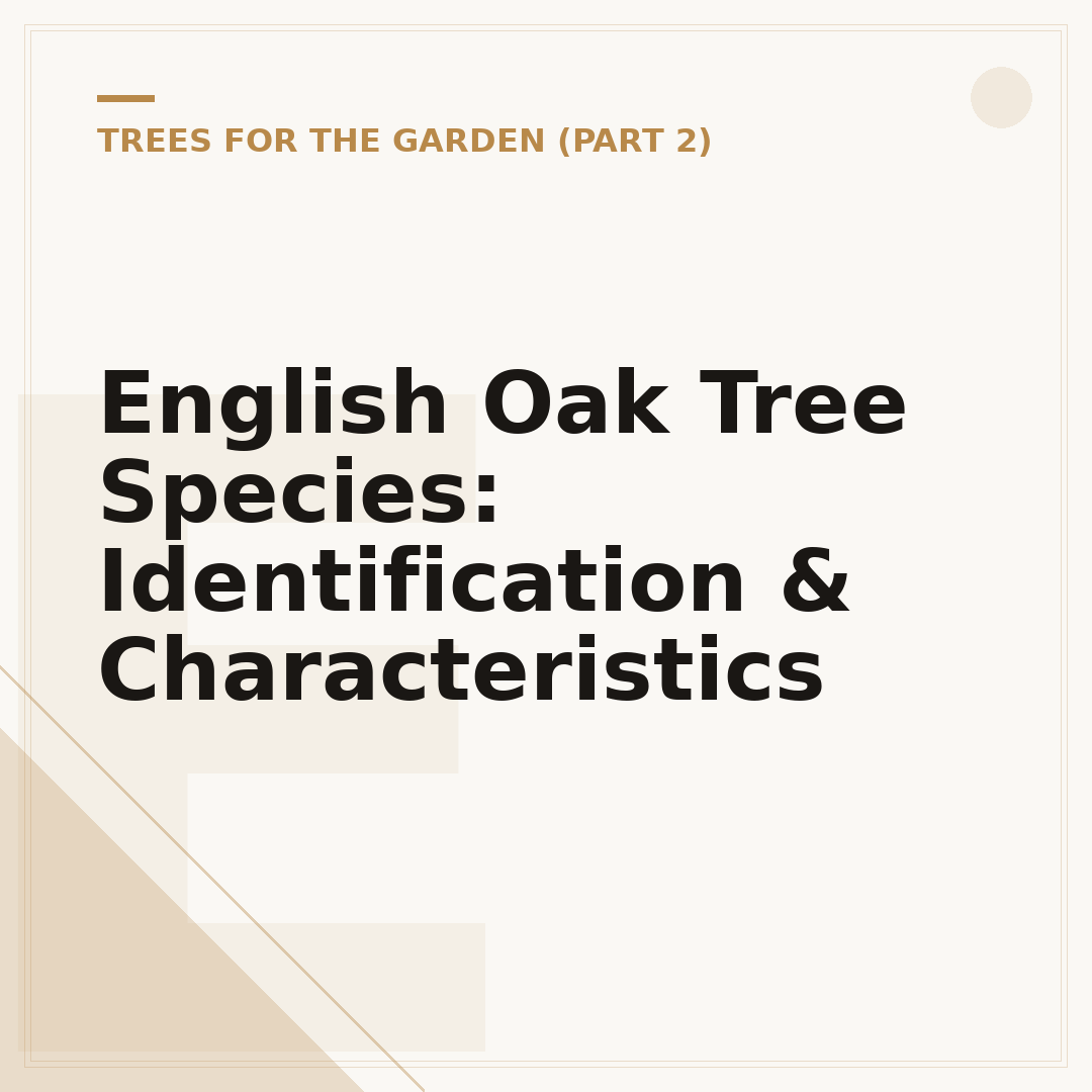 English Oak Tree Species: Identification & Characteristics